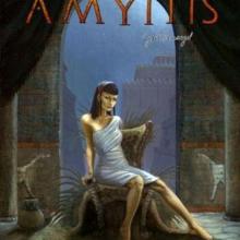 The Box art for Amyitis